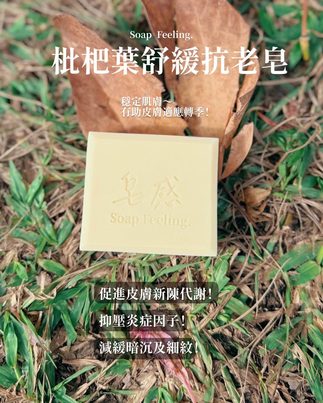 枇杷葉舒緩抗老皂