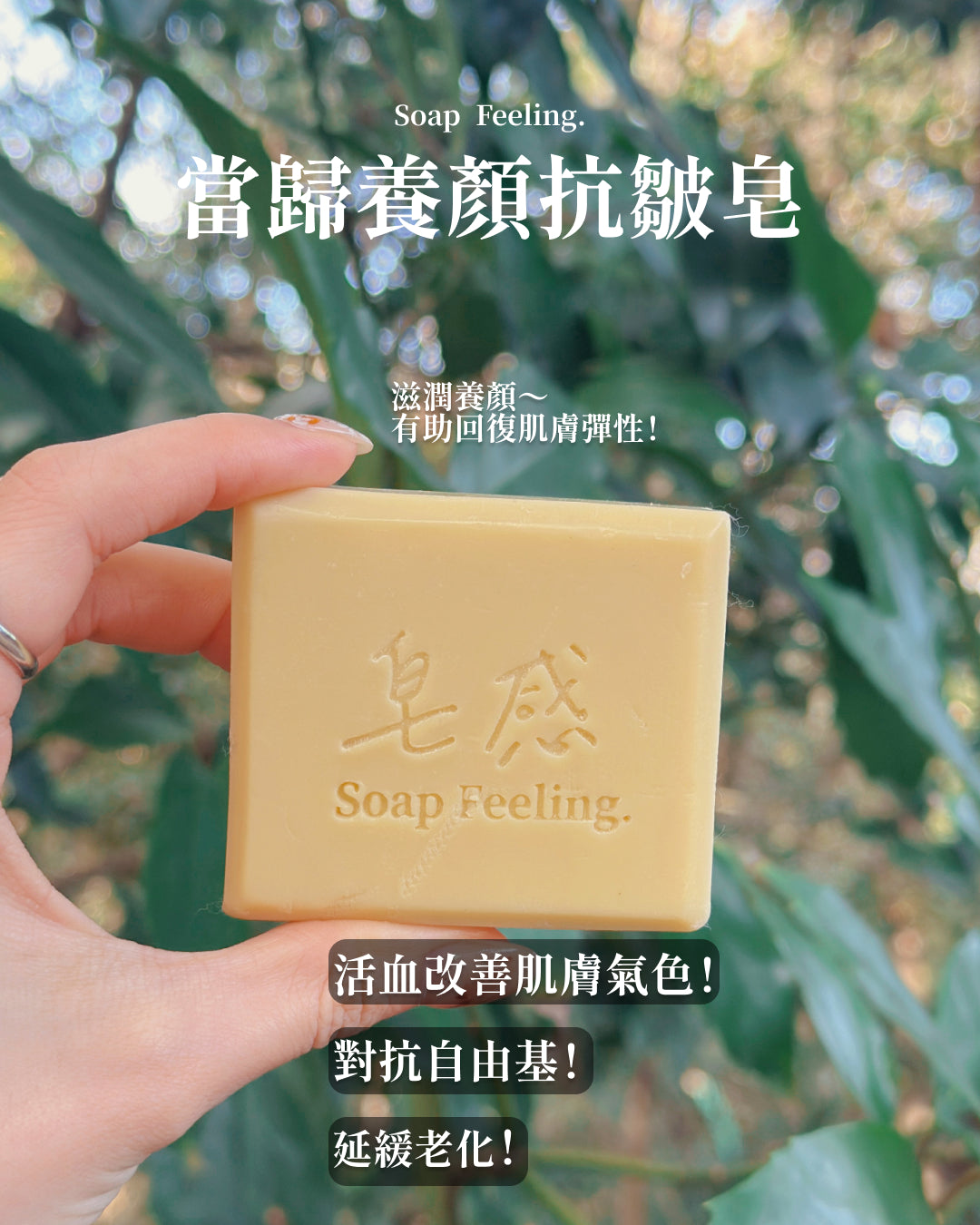 當歸養顏抗皺皂